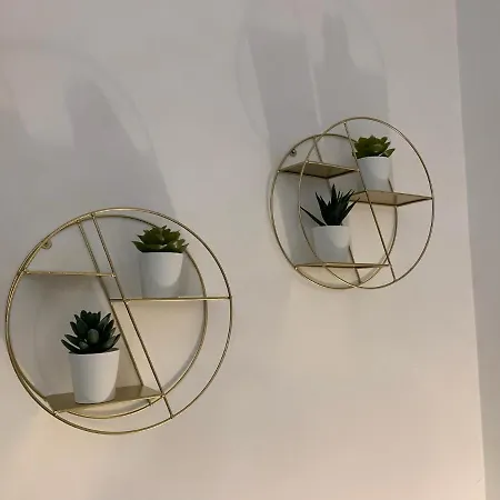 Apartment Terre Daci - Casa Vastea