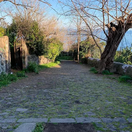 Apartment Terre Daci - Casa Vastea